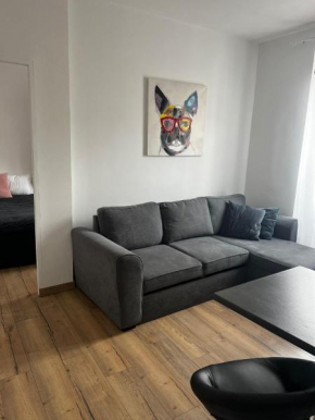 Centrical 1-bedroom apartment near Casino Square